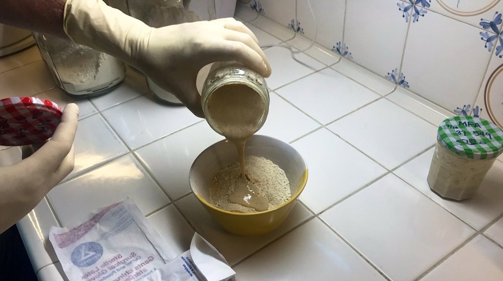 عينات الخميرة العتيقة.